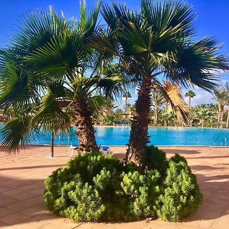 Fuerteventura Apartments Corralejo Zewnętrze zdjęcie