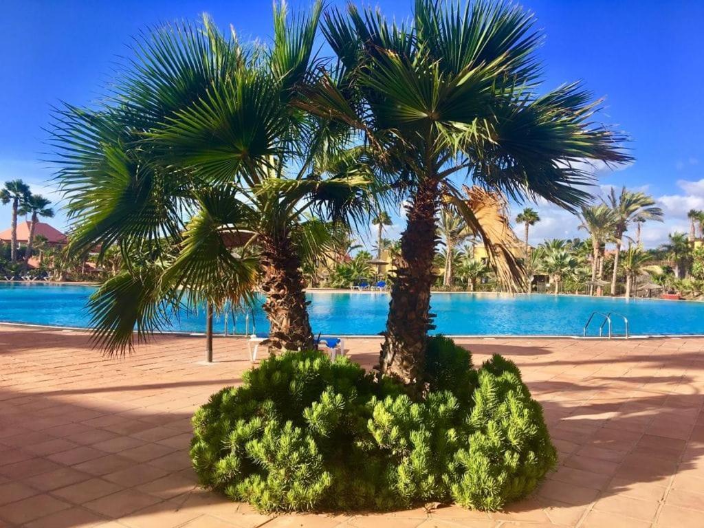 Fuerteventura Apartments Corralejo Zewnętrze zdjęcie