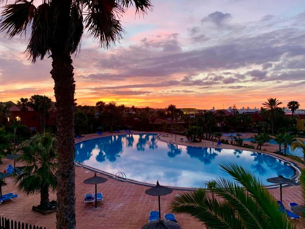 Fuerteventura Apartments Corralejo Zewnętrze zdjęcie