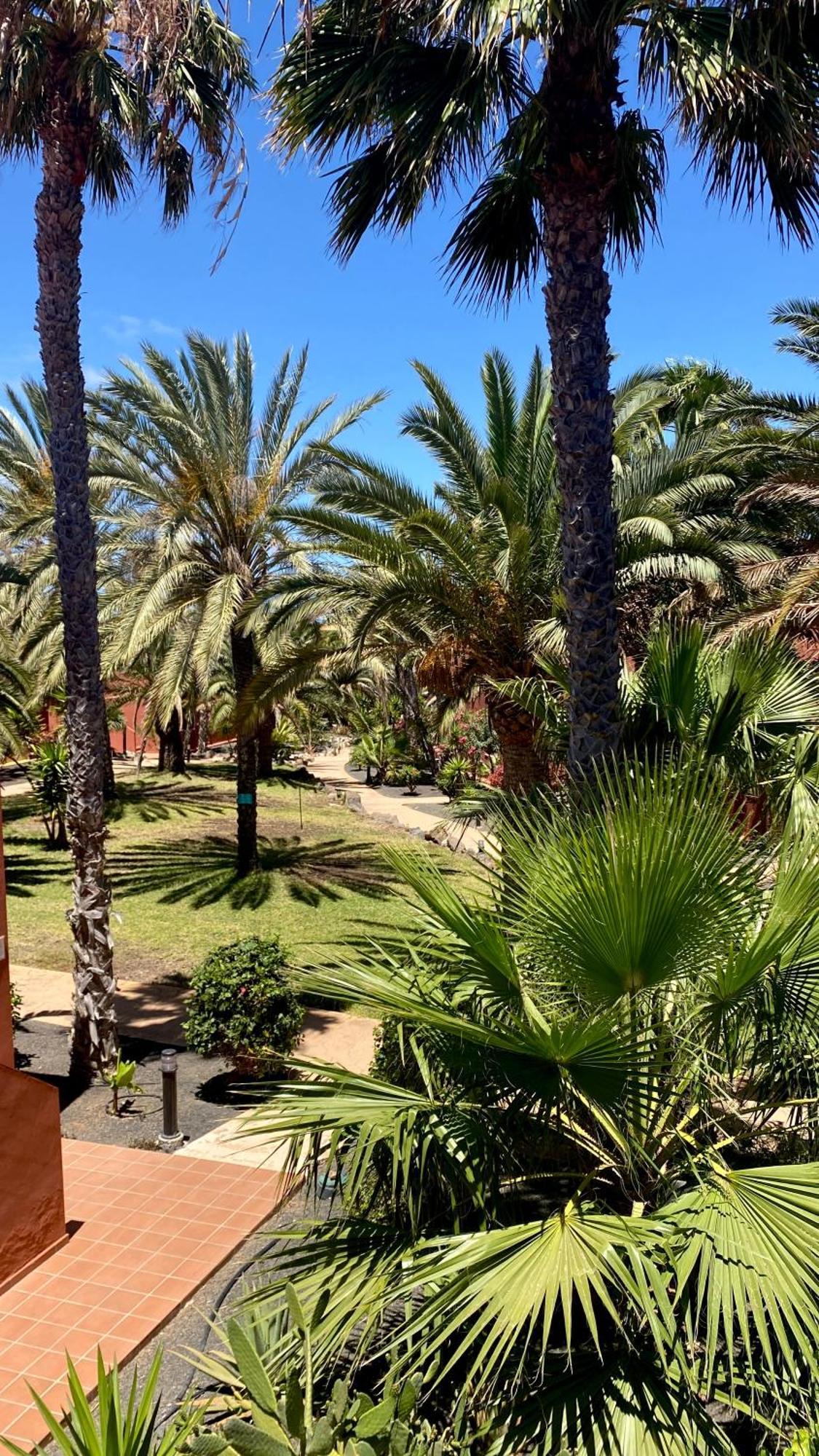 Fuerteventura Apartments Corralejo Zewnętrze zdjęcie