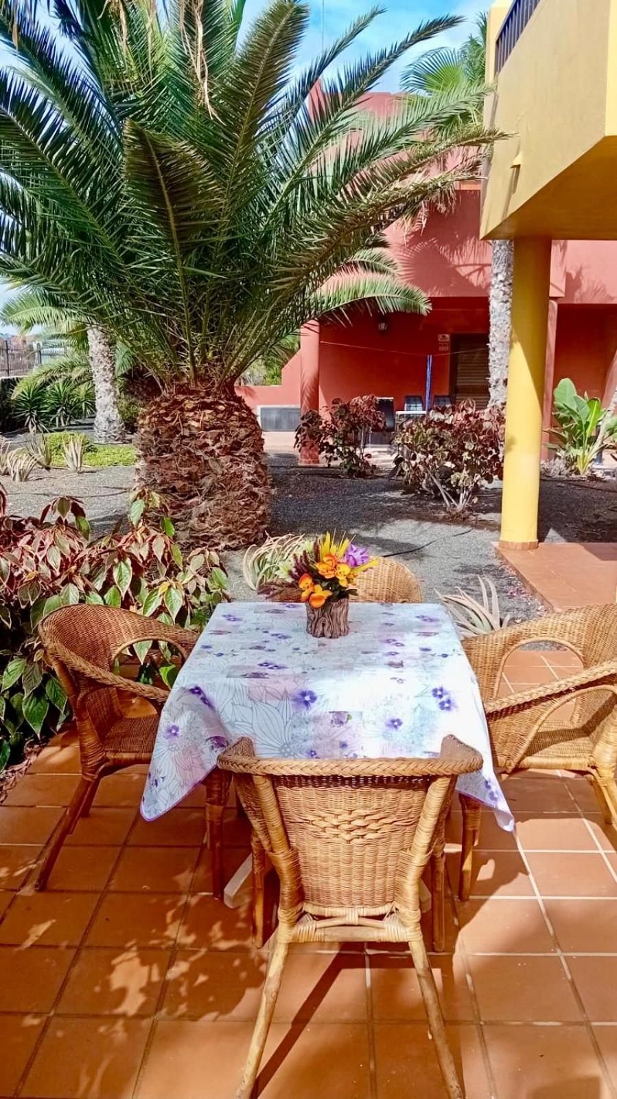 Fuerteventura Apartments Corralejo Zewnętrze zdjęcie